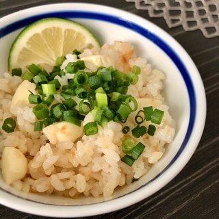 モッツァレラと広島県産レモンのわさび醤油混ぜご飯